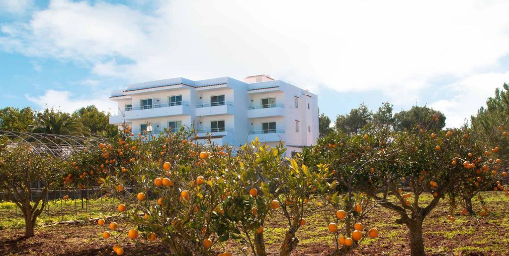 Sunset Oasis Ibiza Adults Only - New Rooms 2025 San Antonio  Eksteriør bilde
