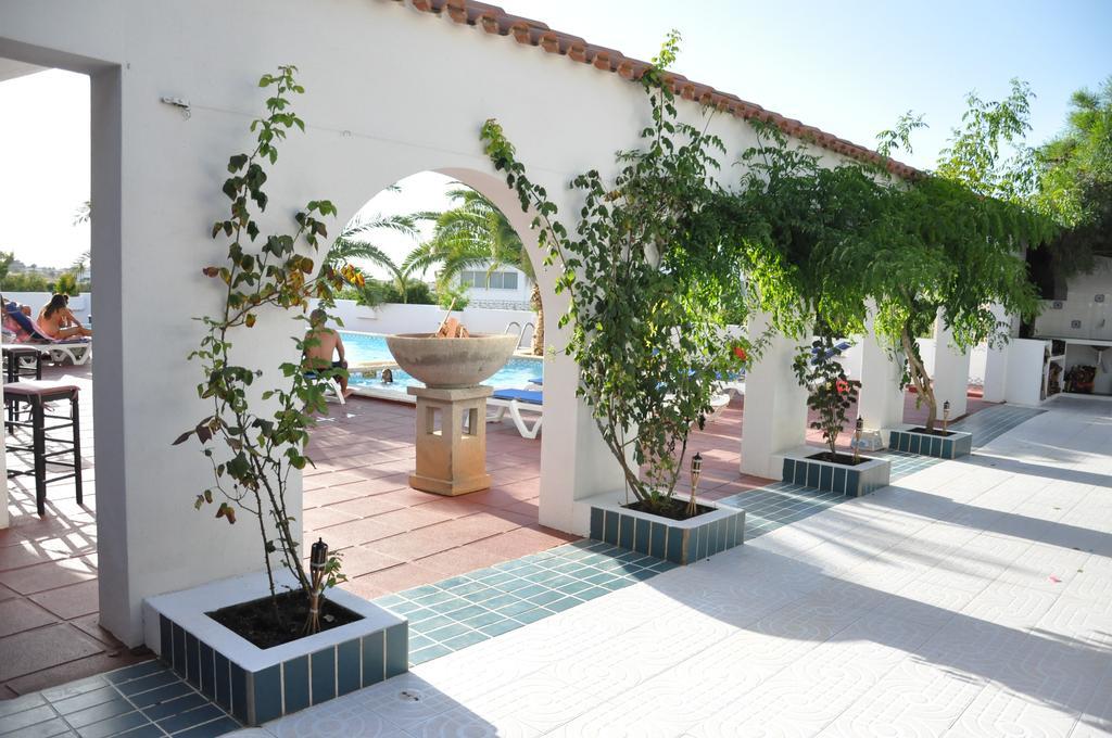 Sunset Oasis Ibiza Adults Only - New Rooms 2025 San Antonio  Eksteriør bilde